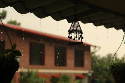 caged by AArushi Negi | Poster | Small | 11 x 7 Paper Print