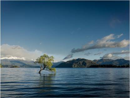 Rajo Raja Lone tree Poster Paper Print