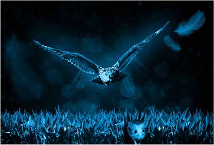 Owl Wallpaper Paper Print