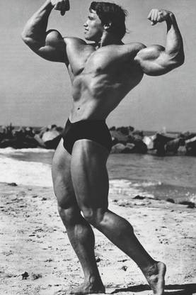 Poster - Arnold Gym Poster Paper Print