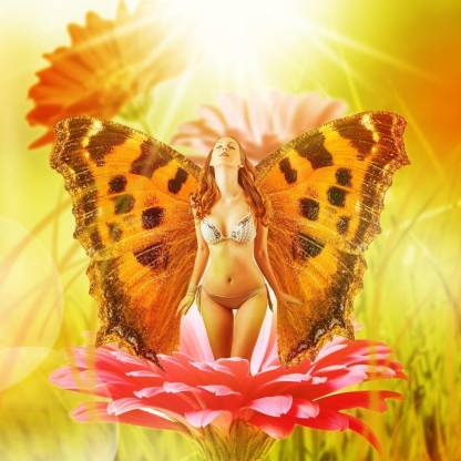 Pics seksy butterfly @seksybuttefly nude butterfly pussy