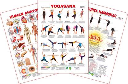 Set of 3 Educational Wall Charts (Human Anatomy, Yogasana 1 & Surya Namaskar) Paper Print