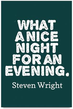 iMerch a nice night for quotes by Steven Wright 3D Poster