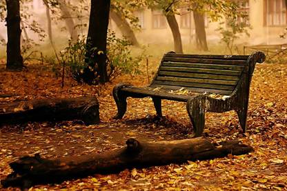 Amore Senri Photographic Paper