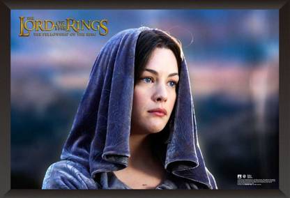 HungOver The Lord of the Ring Poster for Home and Office Paper Print