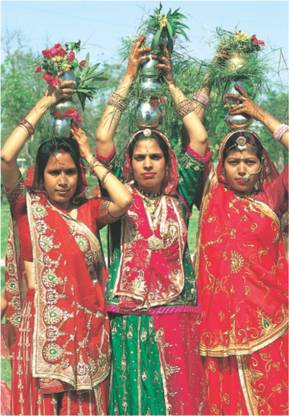 Teej Festival Fine Art Print