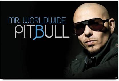 Mr Worldwide Pitbull Paper Print