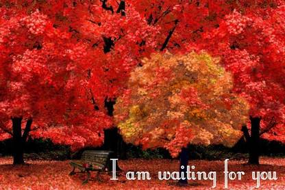 EurekaDesigns I Am Waiting For You Poster Paper Print