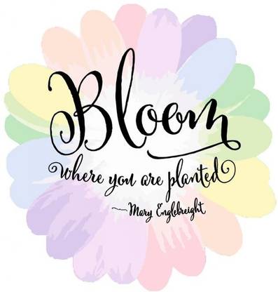 Bloom Where You Are Planted Poster Photographic Paper