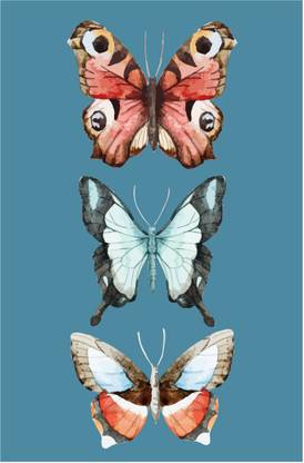 Athah Poster The Butterfly Effect Paper Print