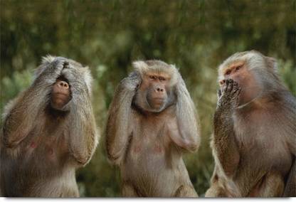 Three Monkeys Of Gandhi Ji Paper Print