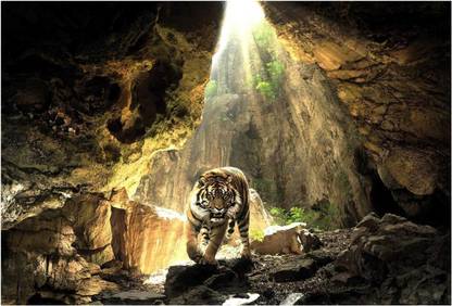 Tiger In A Cave Photographic Paper