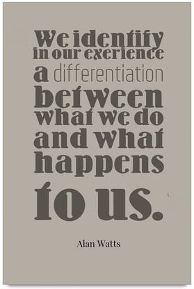 iMerch identify in our exerience quotes by Alan Watts 3D Poster