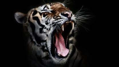 Save the Tiger Poster Paper Print