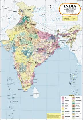 India Map : Agriculture Paper Print