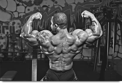 Muscular Back Body Builder Paper Print