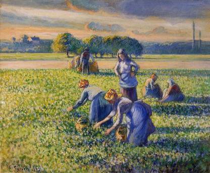 THE MUSEUM OUTLET Picking Peas, 1887 (Medium) Canvas 24 inch x 18 inch Painting