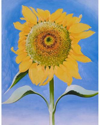 Tallenge Modern Masters Collection - Sunflower By Georgia O'Keeffe - Medium Size Premium Quality Ready To Frame Rolled Canvas 24 inch x 18 inch Painting