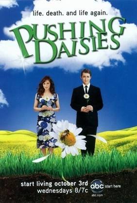 Pushing Daisies Paper Print