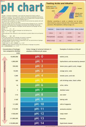 Chemistry Laboratory : PH Poster Paper Print