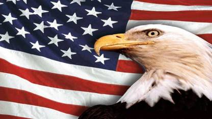 Usa Flag American Eagle Art Print Poster HD Poster Art PNCAL22788PNCAL22788 Photographic Paper