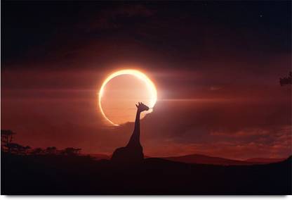 Evening In Africa Jungle Paper Print