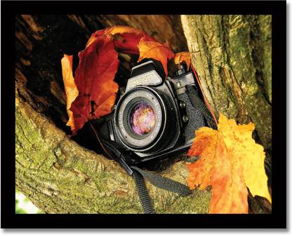 Framed Hidden Camera Fine Art Print