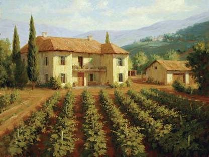 Tuscan Vineyard Fine Art Print