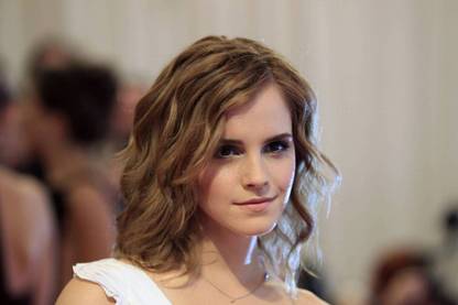 AnanyaDesigns Emma Watson (G) Wall Poster Paper Print