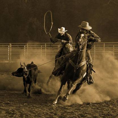 Roping on the Ranch III Fine Art Print