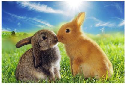 Decor Villa - two cute rabbit Wall poster (24 inch X 18 inch) Paper Print