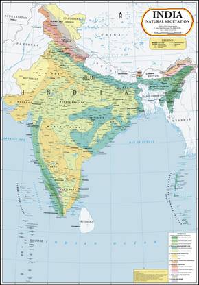 India Map : Natural Vegetation Paper Print