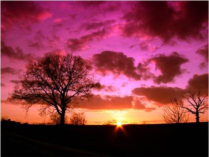 Rajo Raja Colours Poster Paper Print