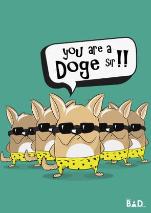 doge swag - Laminated Poster 16 x 22 Photographic Paper