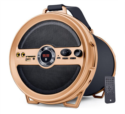 Iball karaoke barrel with mic Clearance