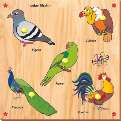 Kinder Creative Junior Birds with Knobs