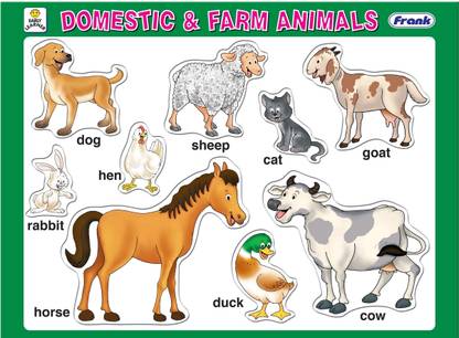 Frank Domestic and Farm Animals