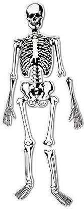 LEARNING RESOURCES Skeleton Floor Puzzle