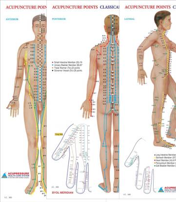 Acupuncture Points Chart - Meridians - Set Of 3