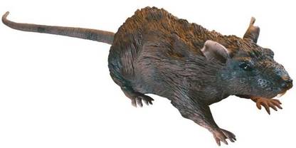 Uncle Milton Rat