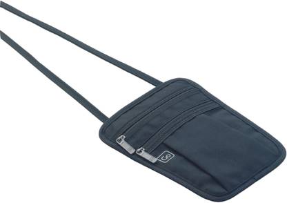 DESIGN GO Passport Pouch