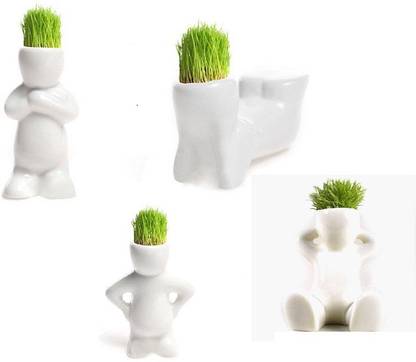 Sabhya Sakshi Miracle men- Grow grass in head Decorative Showpiece  -  10 cm
