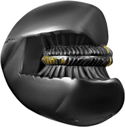 shaligram shala Sacred Adwaitya Vibhishina Maha Jwala Ati Ugra Narsimha Decorative Showpiece  -  5.7 cm