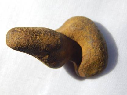 Takething Naga Kundali Fossil Cobra Gem Decorative Showpiece  -  3 cm