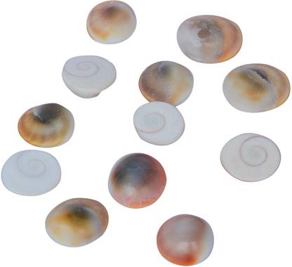 संस्कृति GOMTI CHAKRA स्टोन