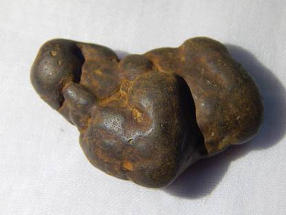 Takething Naga Kundali Mani Fossil Snake Stone Naga mani Naga Gem Ratna Decorative Showpiece  -  3.5 cm