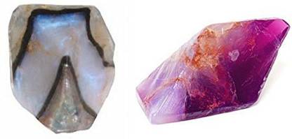 T.S. Pink Bundle of 2 Assorted SoapRocks (Bundle of Moonstone & Amethyst)