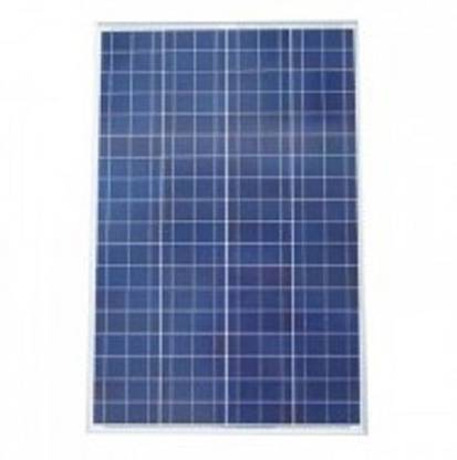 Su-Kam 250 Watt Solar Panel