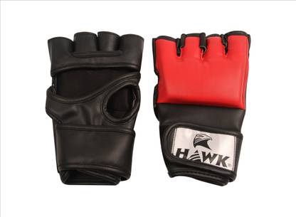 HAWK Fighting FW Gym & Fitness Gloves
