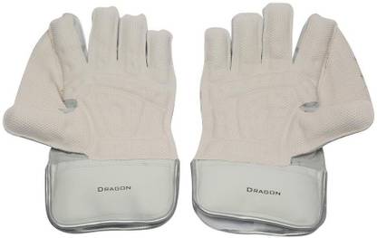 SS Dragon Wicket Keeping Gloves